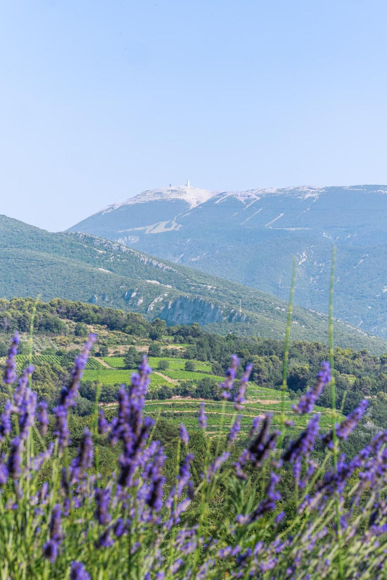 Gite Les Aiguillans Merindol-les-Oliviers ภายนอก รูปภาพ